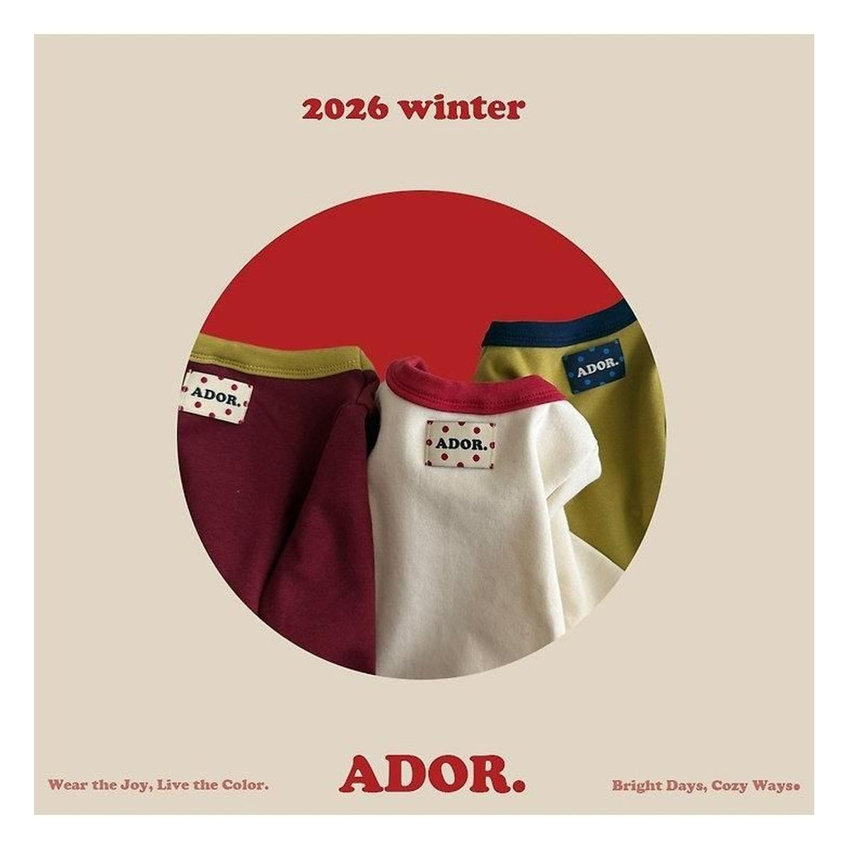 ADOR. クッキー配色ティー