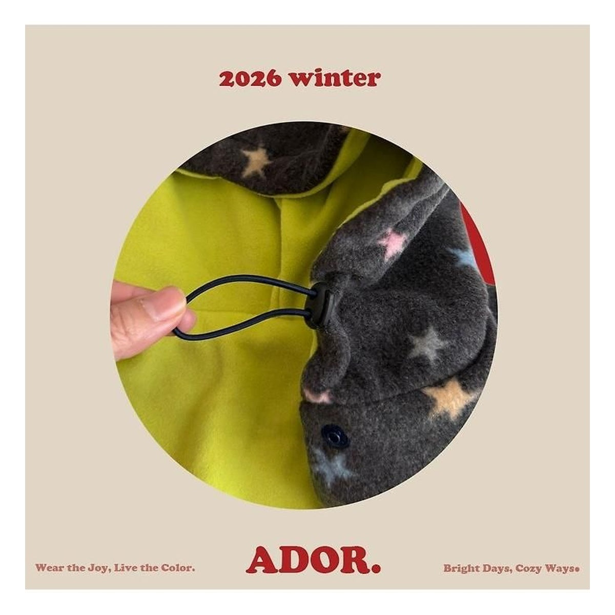 ADOR. リバーシブルスターフーディーポンチョ FREE