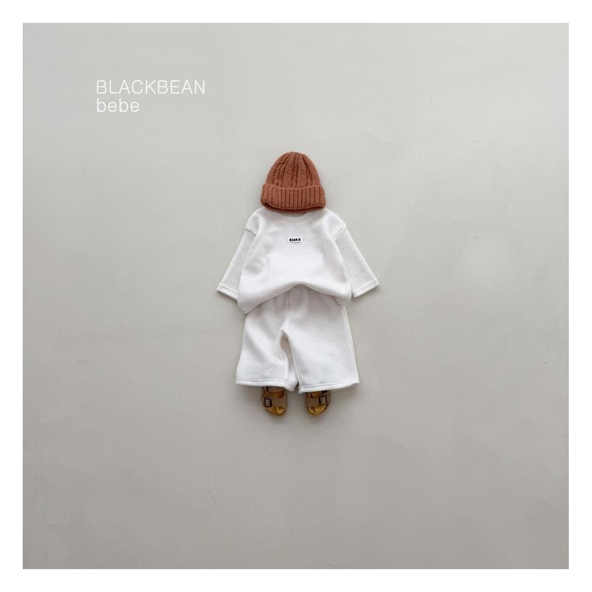 Blackbean トリベベセットアップ