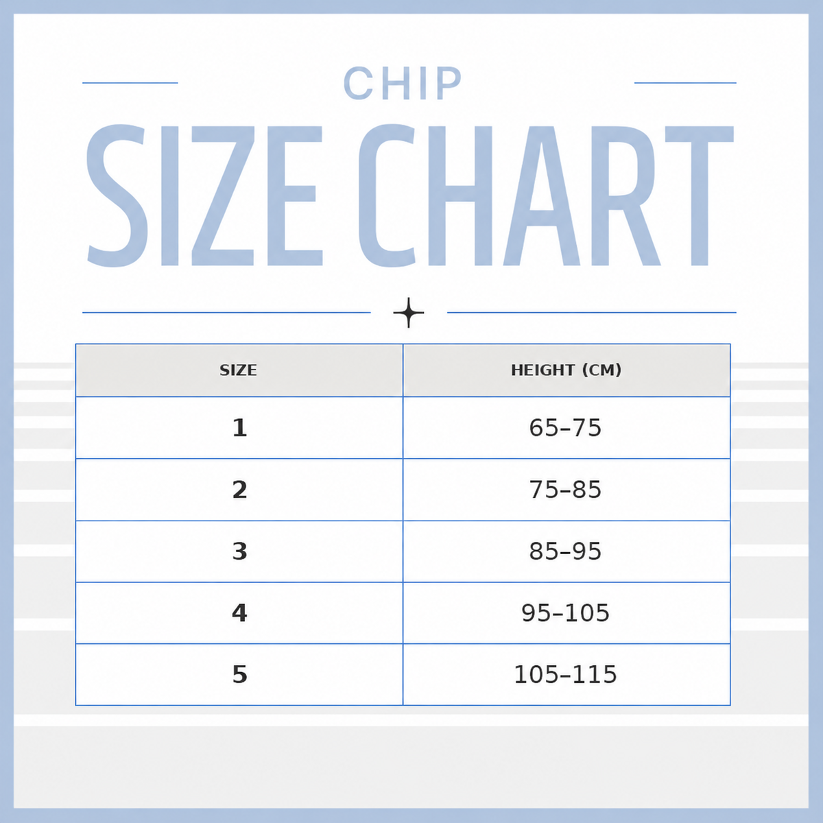 CHIP ハイメロMTM