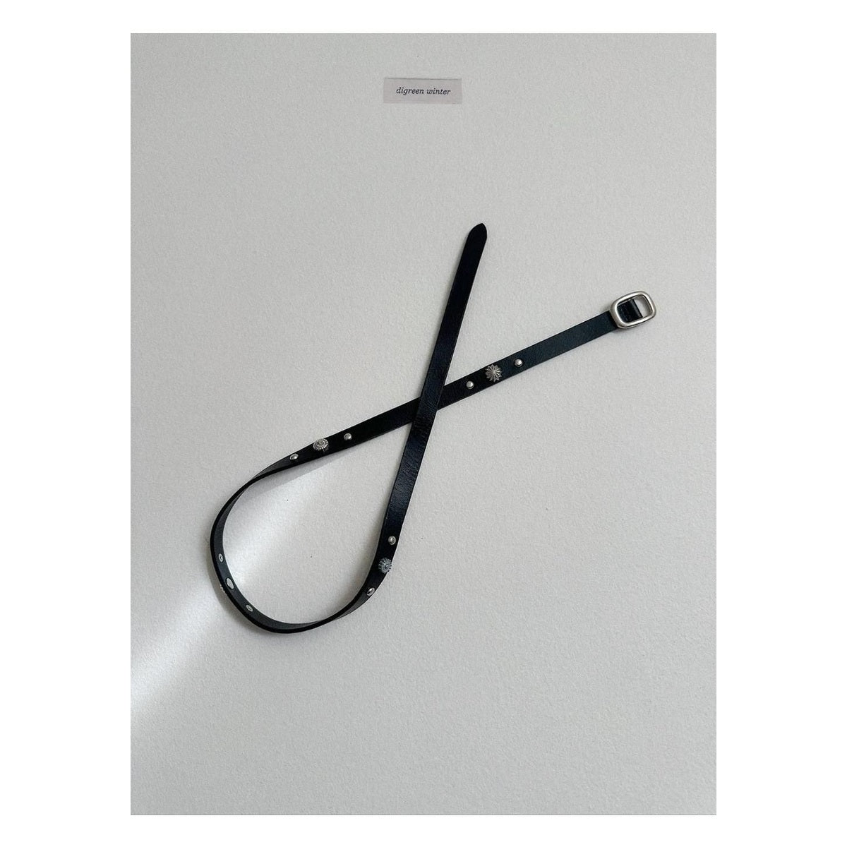 digreen パーツベルト FREE(70cm)
