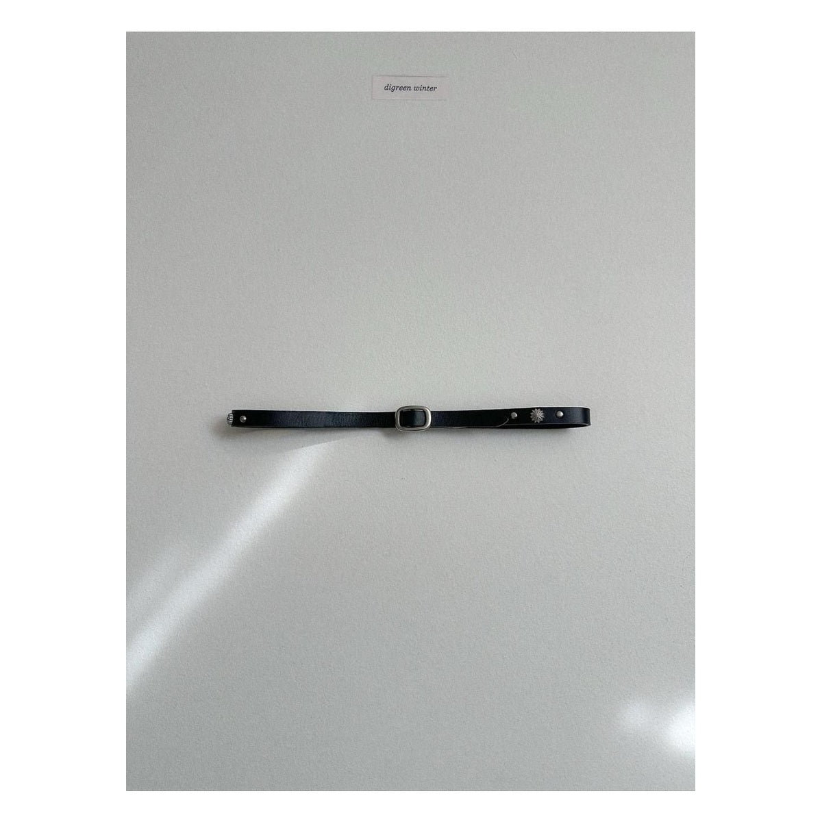 digreen パーツベルト FREE(70cm)