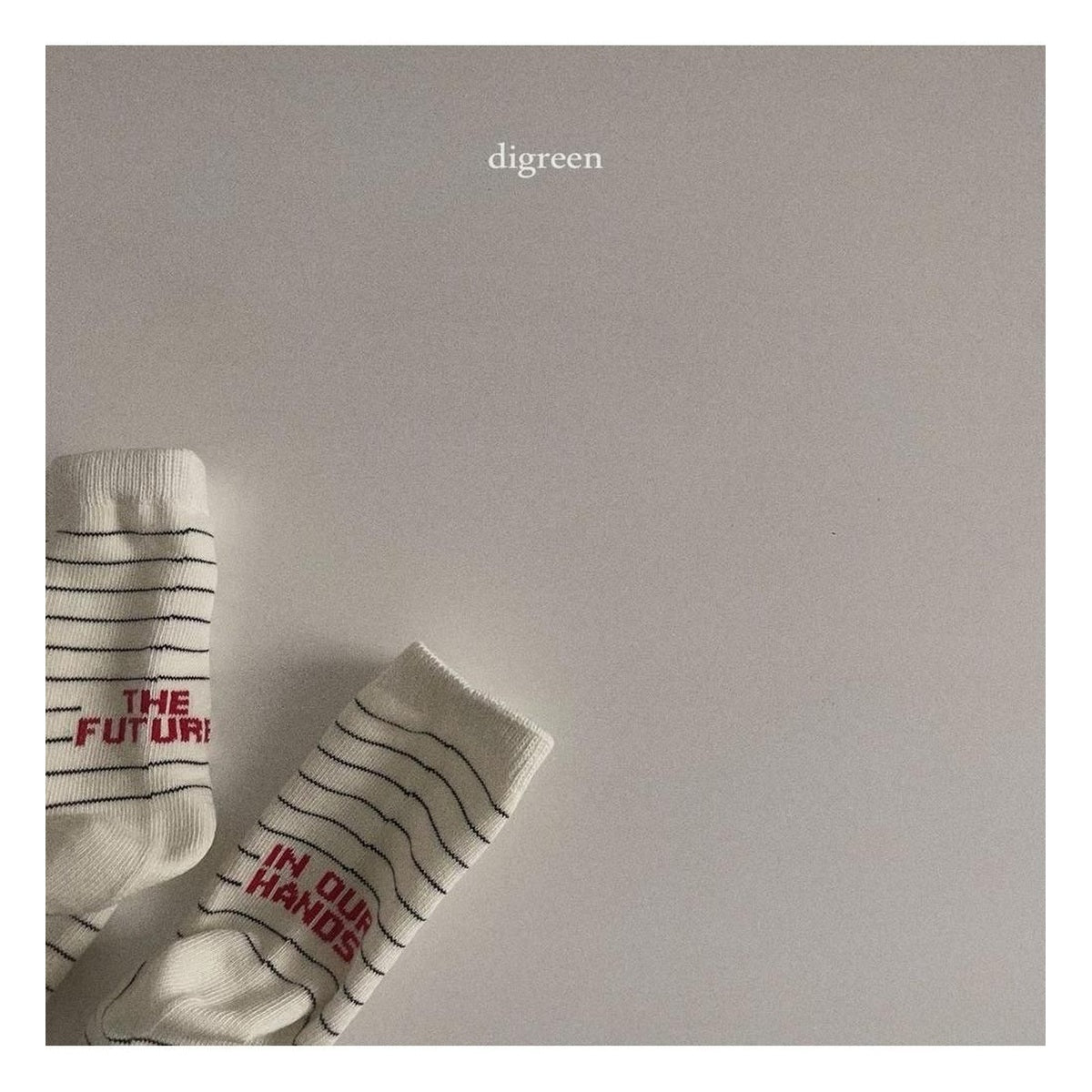 digreen フューチャーソックスセット