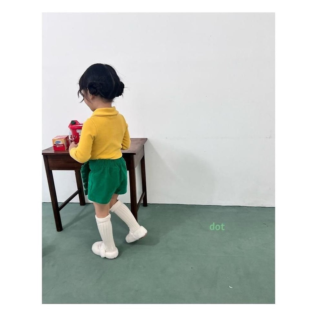 dot. カラータートル