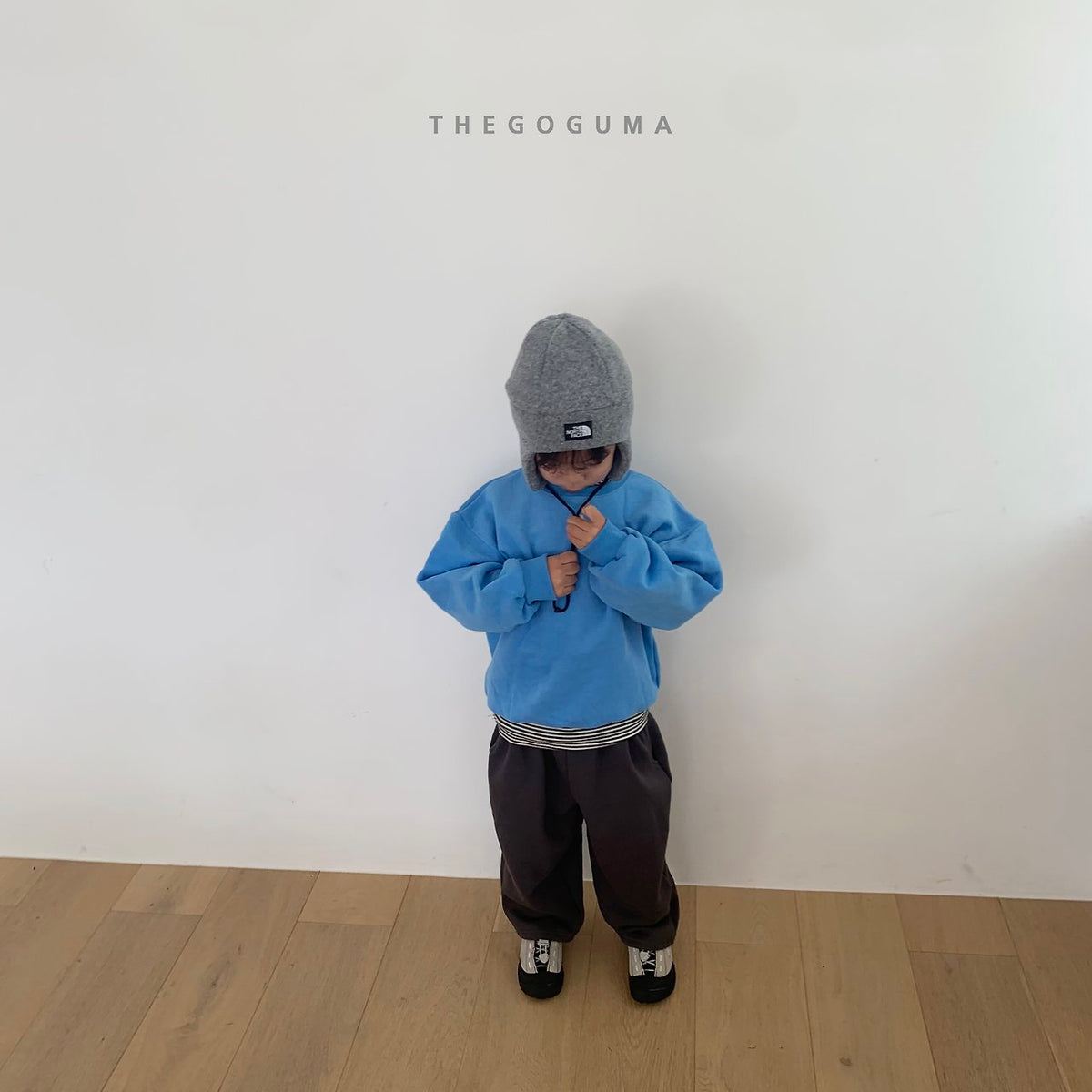 THE GOGUMA スターシップトレーナー