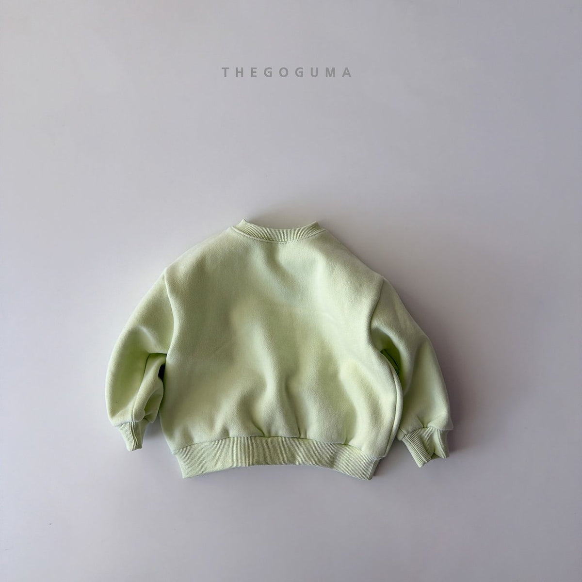 THE GOGUMA スターシップトレーナー