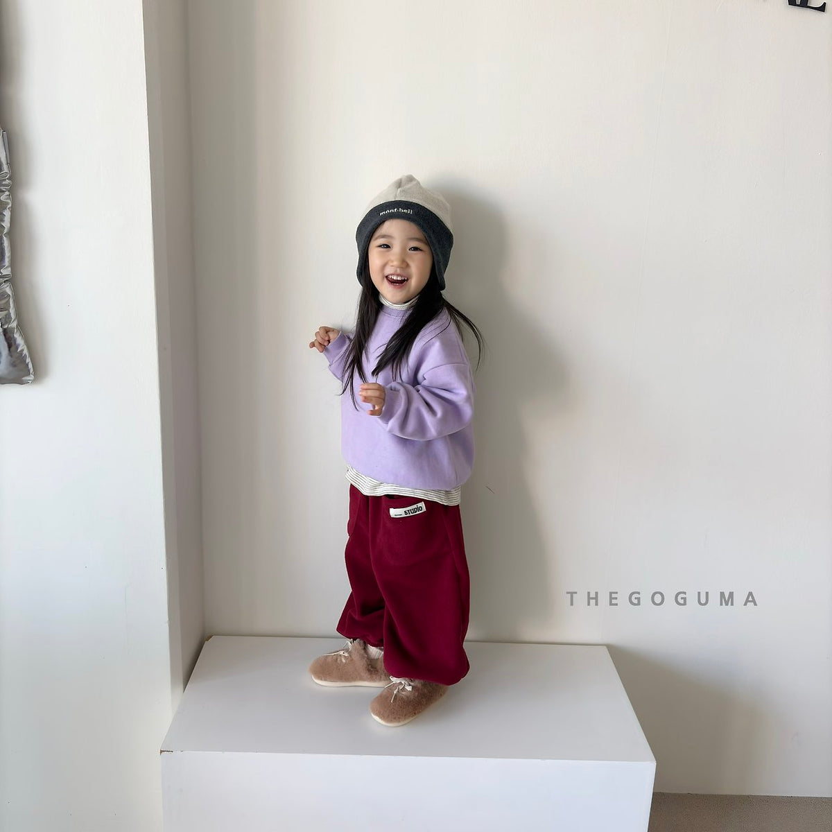 THE GOGUMA スターシップトレーナー