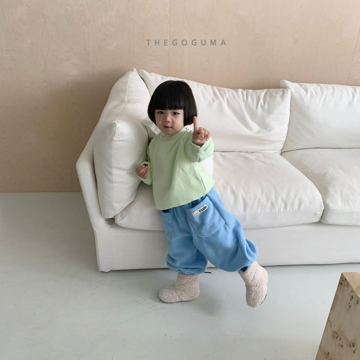 THE GOGUMA スターシップトレーナー