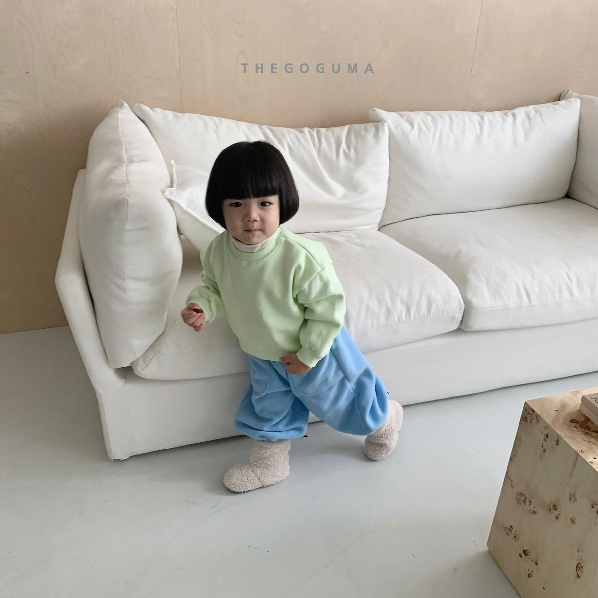 THE GOGUMA スターシップトレーナー