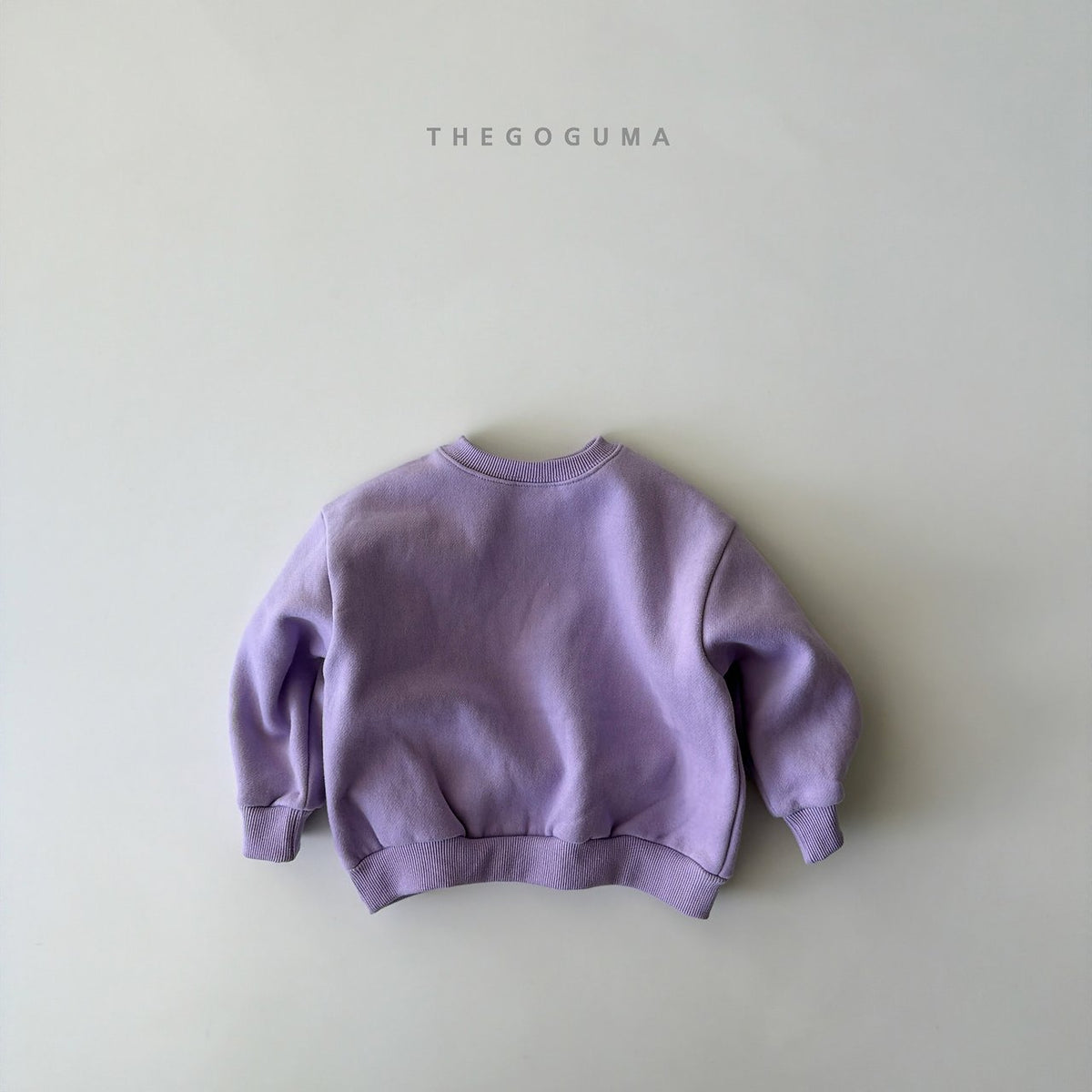 THE GOGUMA スターシップトレーナー
