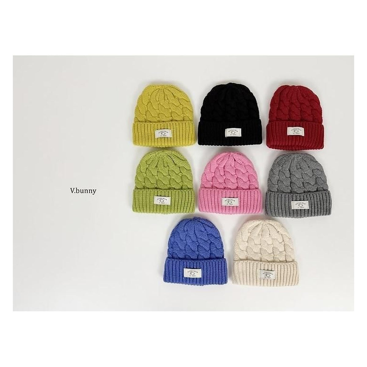 V.bunny ビッグループビーニー FREE